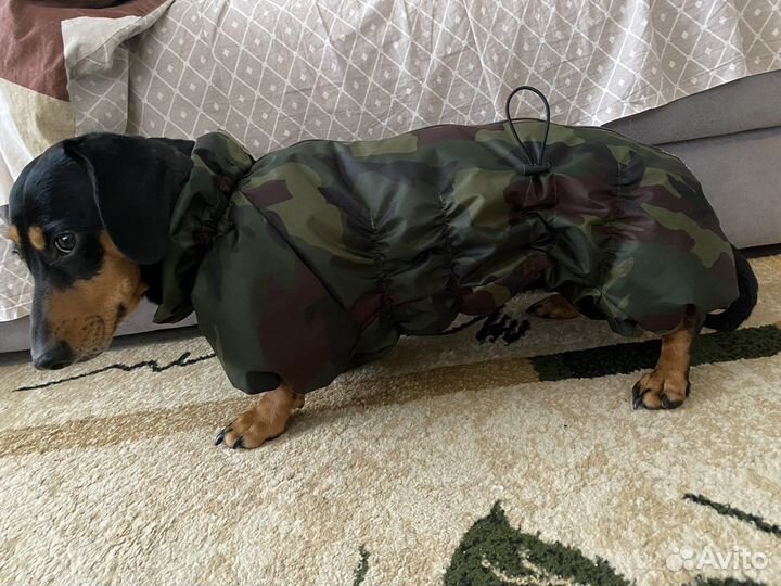 Комбинезон зимний для стандартной таксы