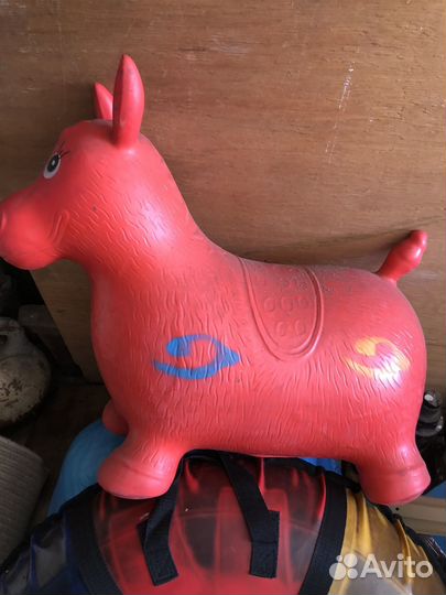 Ослик прыгун