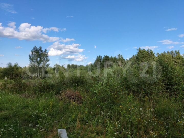 Участок 16,3 сот. (ИЖС)