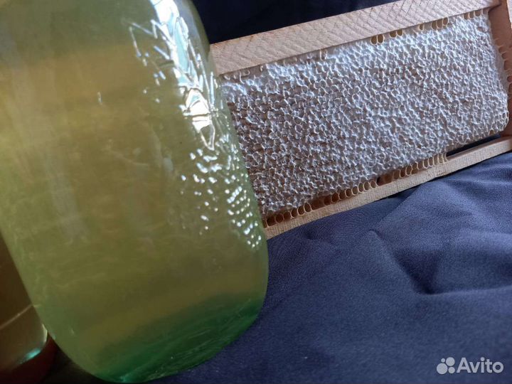 Мед в сотах