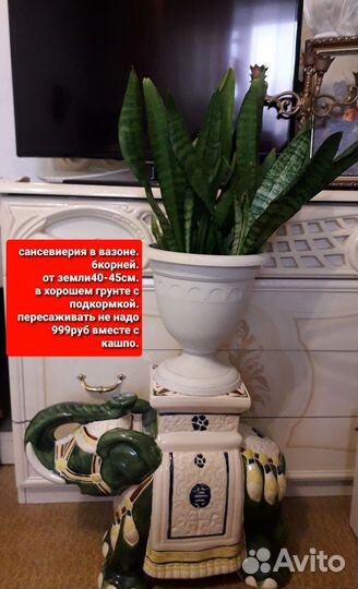 Цветы и подставка.от