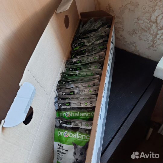 Влажный корм для кошек