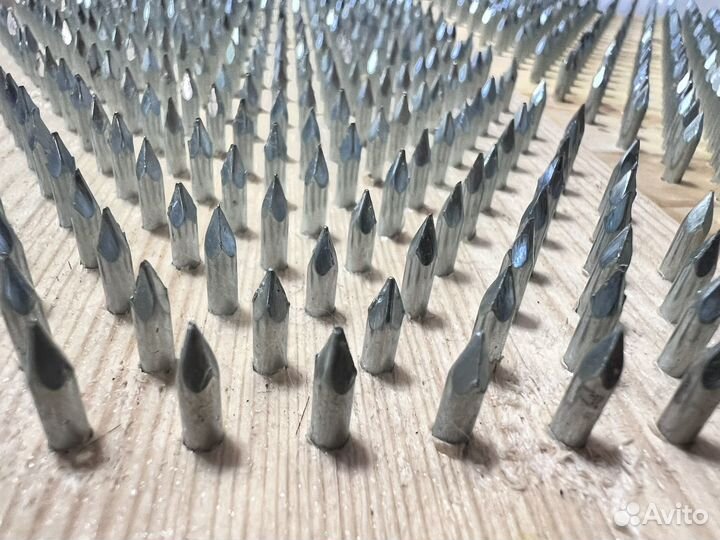 Гвоздестояние