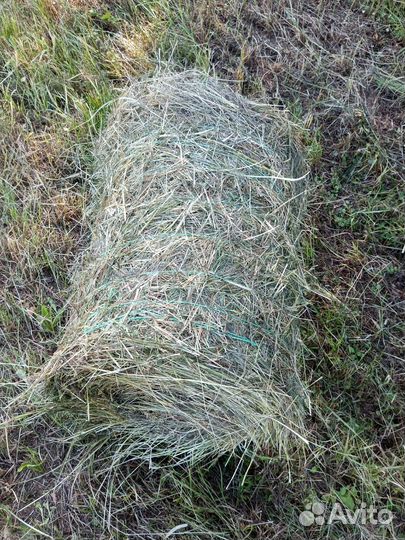 Сено в минирулонах