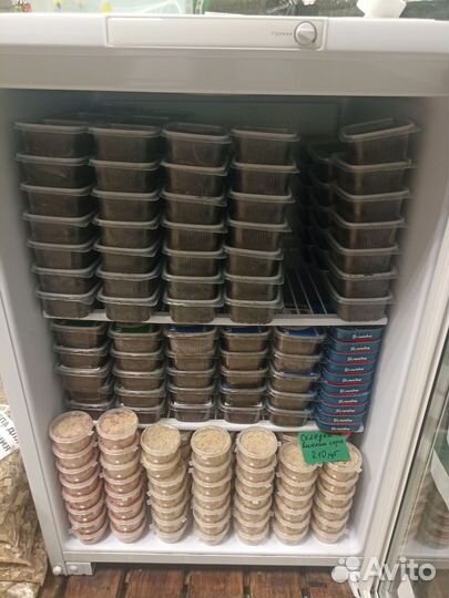 Черви навозные