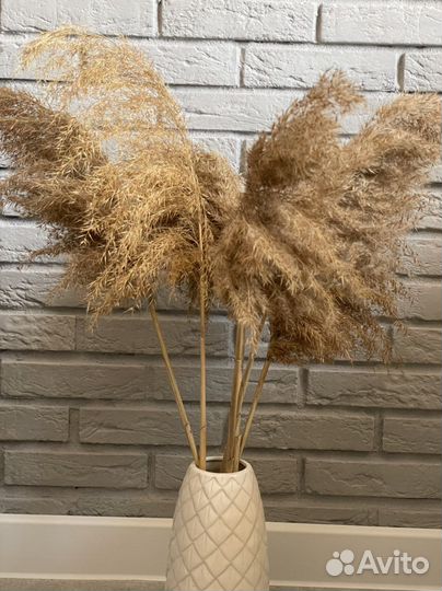 Букет из сухоцветов