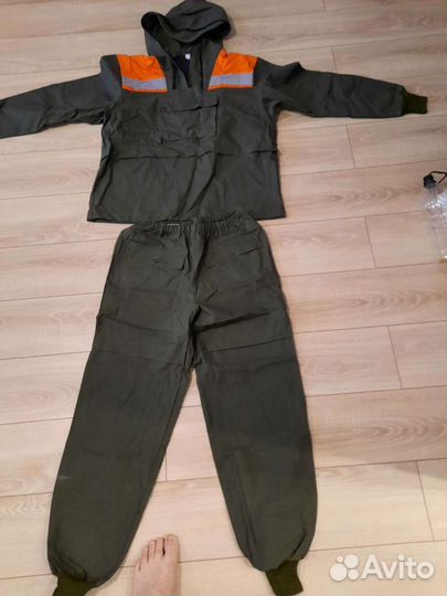 Роба инцефалитка