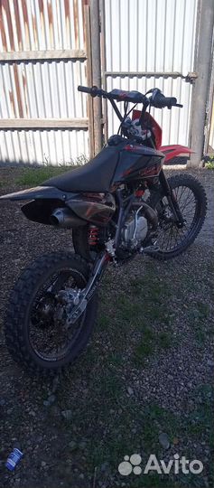 Regulmoto seven medalist pro