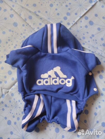 Одежда для маленьких пород собак