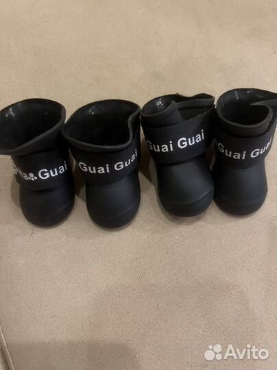 Сапоги на собаку