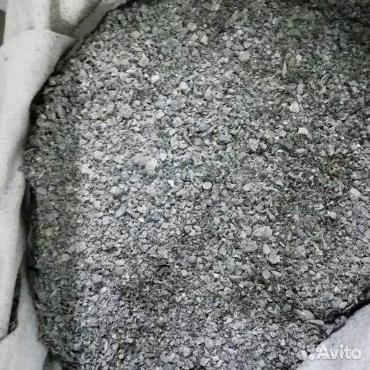 Ракушка кормовая морская