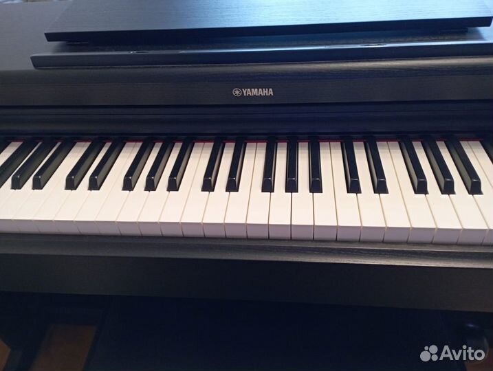 Электронное пианино Yamaha Arius YDP-165