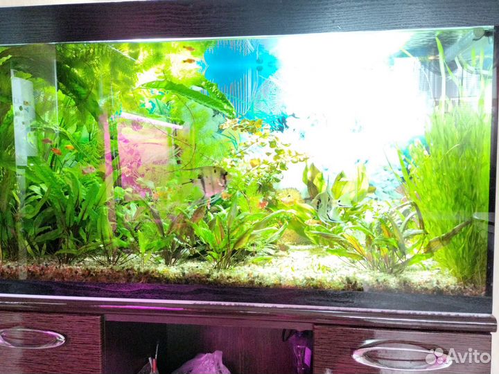 Аквариум с тумбой