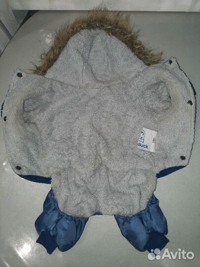 Зимний комбинезон для таксы