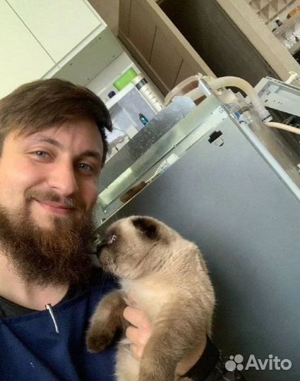 Ремонт посудомоечных машин и вытяжек частник