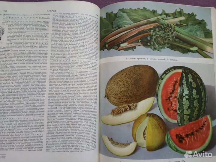 Энциклопедия домашнего хозяйства СССР 1969 год