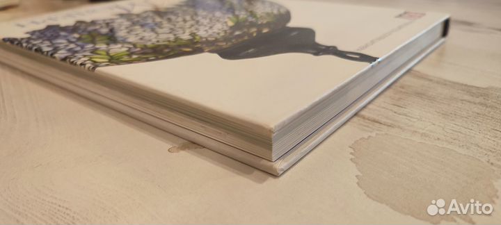 Джудит Миллер 