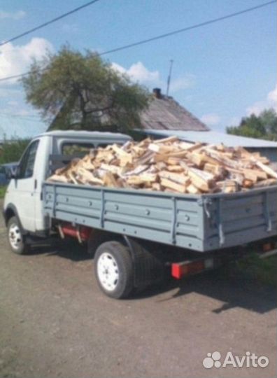Дрова колотые дуб