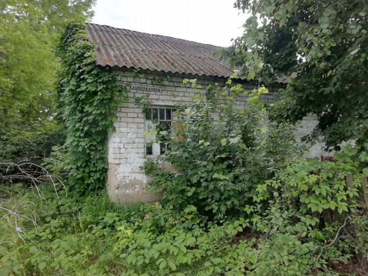 Участок 16 сот. (ИЖС)