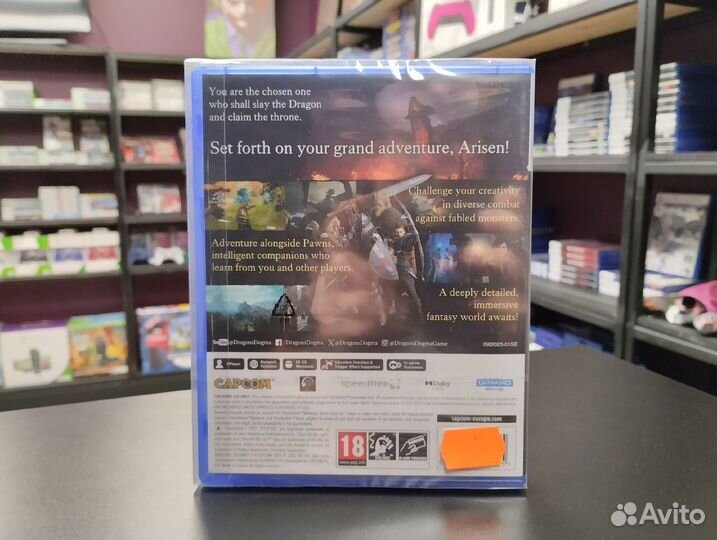 Игра для PS5: Dragon’s Dogma 2