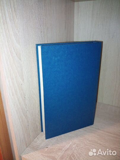 Командующий фронтом. Ф. Гарин 1989г