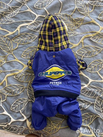 Одежда для собак Джек Рассел