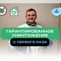 Уничтожение/ Обработка от тараканов, клопов