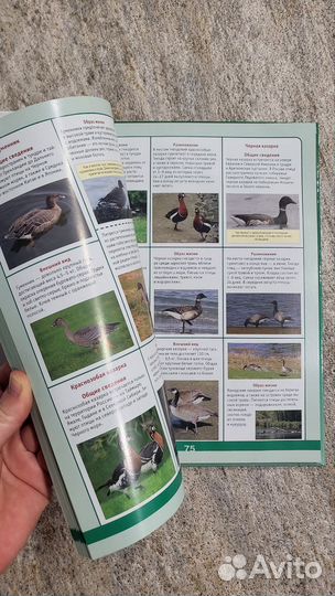 Книга об охоте