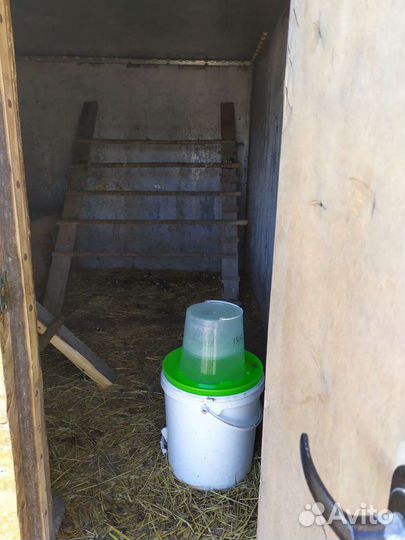 Курятник теплый