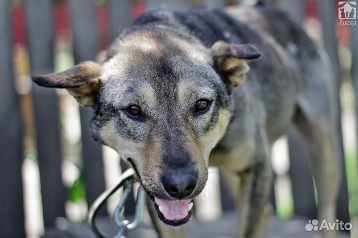 Назар в семью