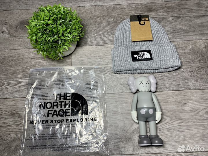 Шапка TNF