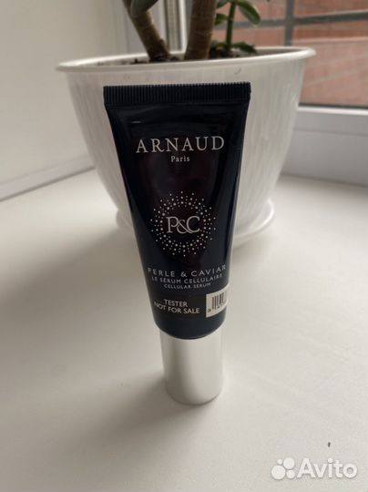 Arnaud Paris
