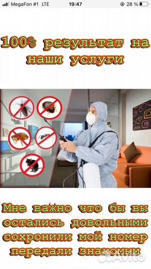 Травля клопов тараканов мышей блох