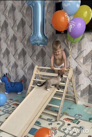 Треугольник Пиклера (макси) с горкой скалодромом