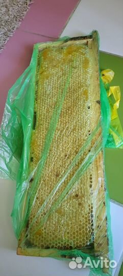 Сотовый мед Башкирии