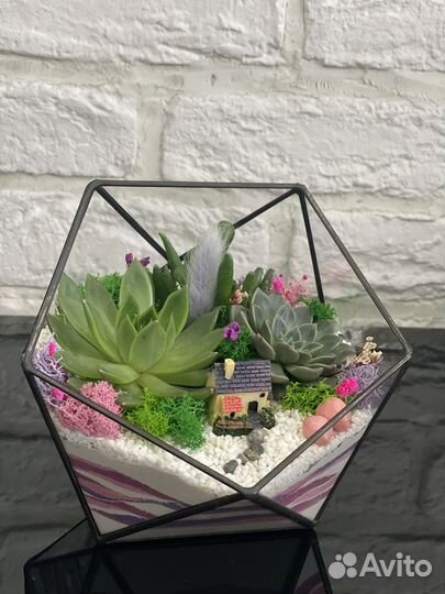 Флорариумы на учителю,воспитателю