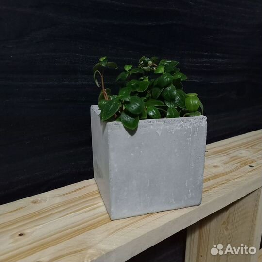 Вазоны, Горшки, Кашпо под заказ из бетона