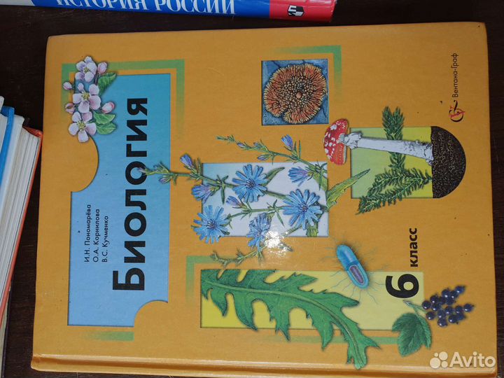 Учебник биологии Понамарева 6 кл