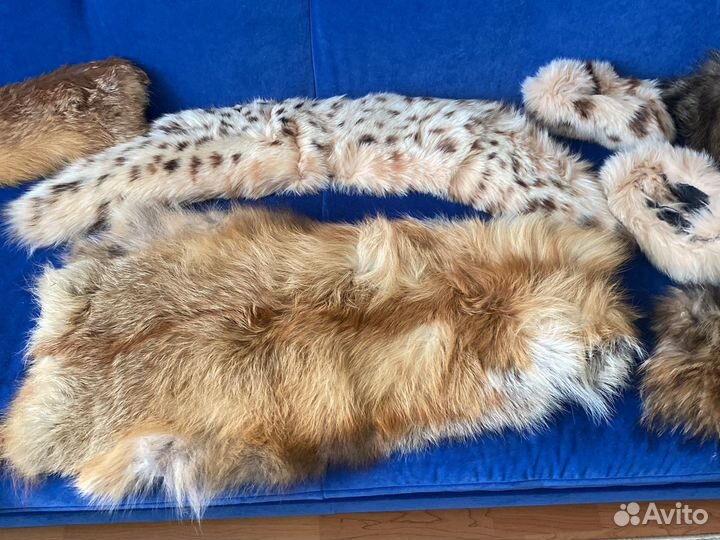 Мех. Меховой воротник лиса и крашеный песец