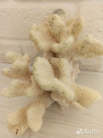 Аквариумные принадлежности