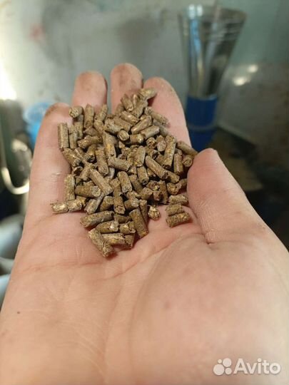 Комбикорм для кур несушек гранулированный