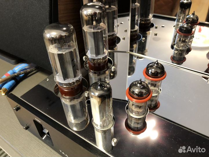 Ламповый усилитель T.A.C. 34 Dream + лампы