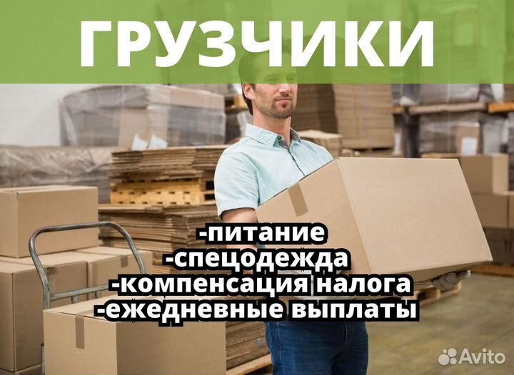 Грузчик с ежедневной выплатой.ss172