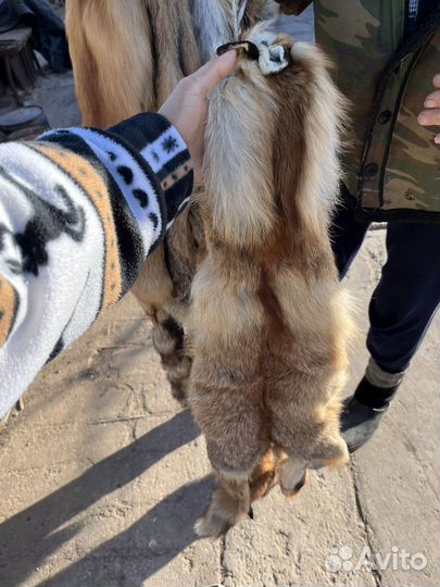 Выделыные лисьи шкуры