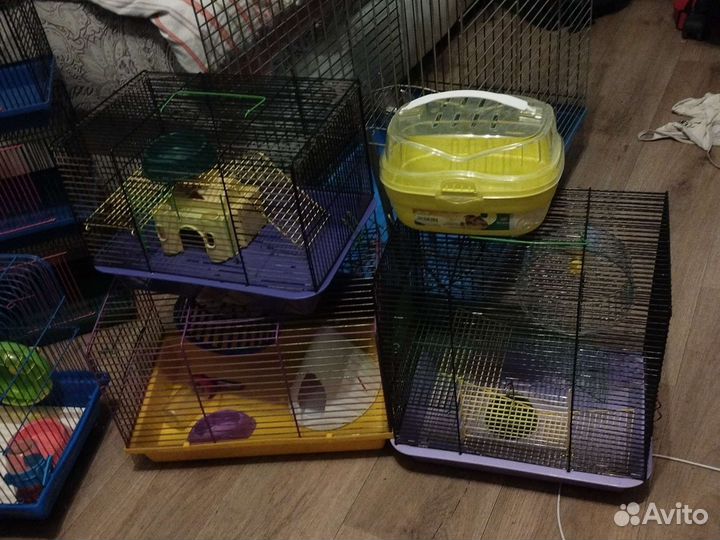 Клетки. Колëса. Дома. Переноски