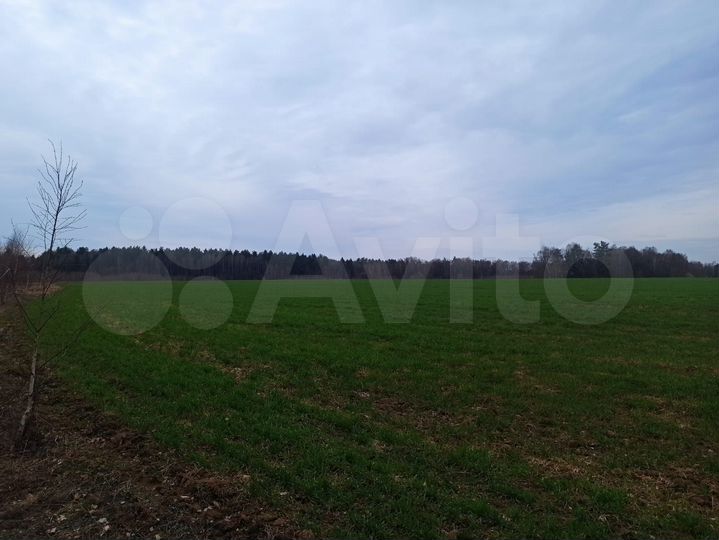 Участок 554 га (СНТ, ДНП)