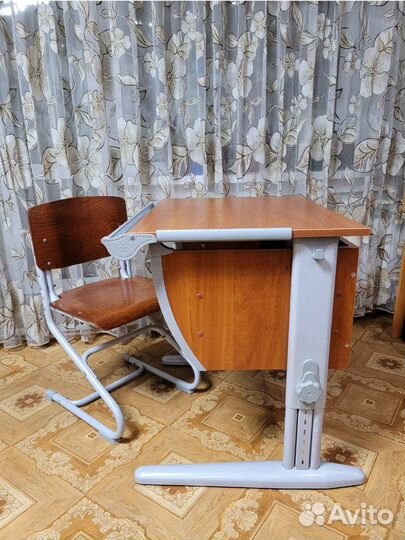 Растущая парта и стул Деми