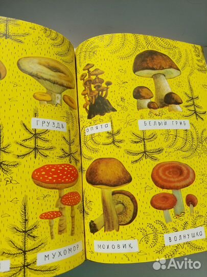 Книга Н.Надеждина 