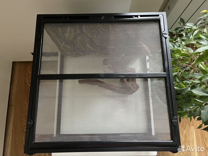 Террариум для эублефара или змеи Exoterra 45x45x30