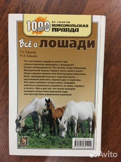 Все о лошади